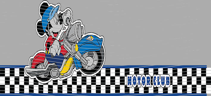 16oz Disney style-D-238